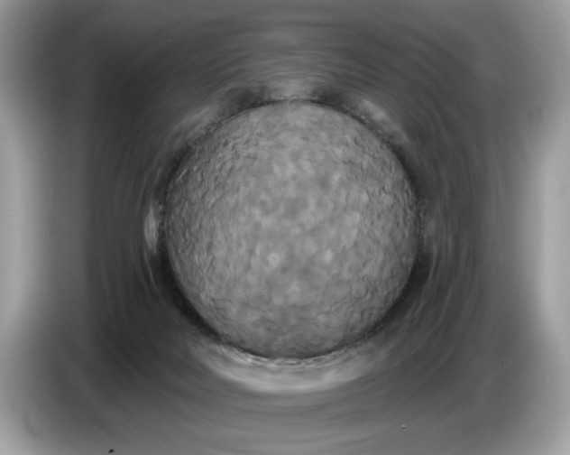 X0000086730026200704271639