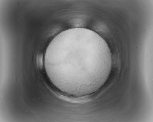 X0000086730028200704271639