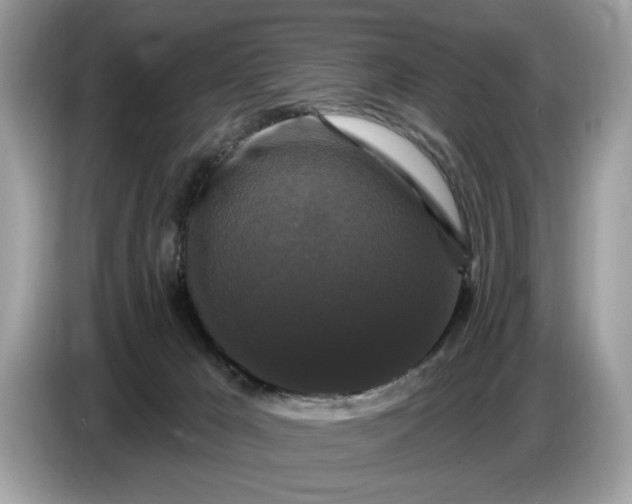 X0000086730029200704271639