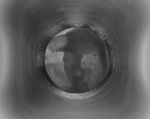 X0000086730030200704271639