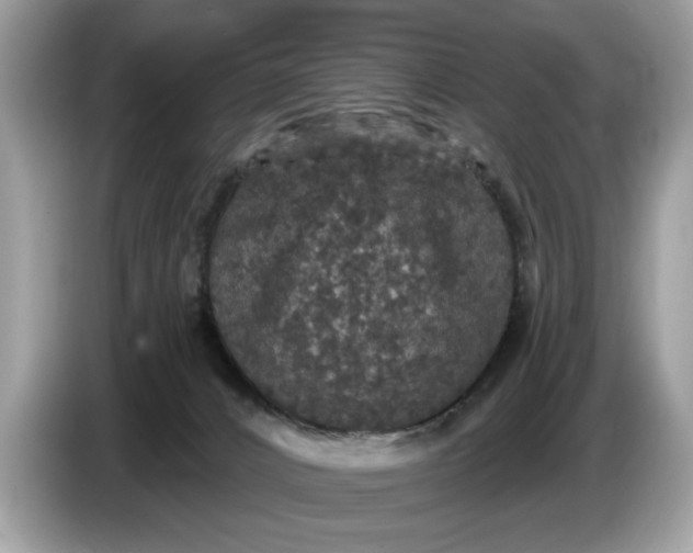 X0000086730032200704271639