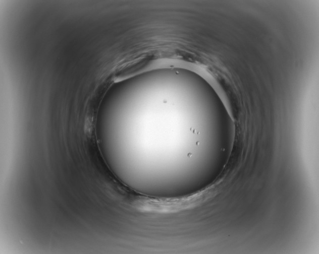 X0000086730033200704271639