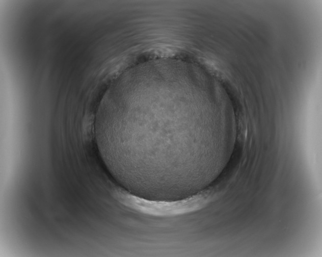 X0000086730034200704271639