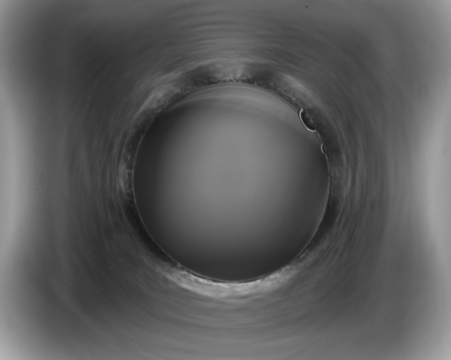 X0000086730035200704271639