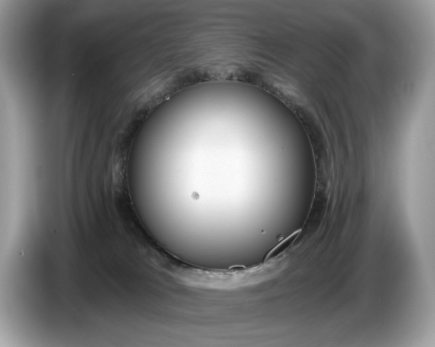 X0000086730037200704271639