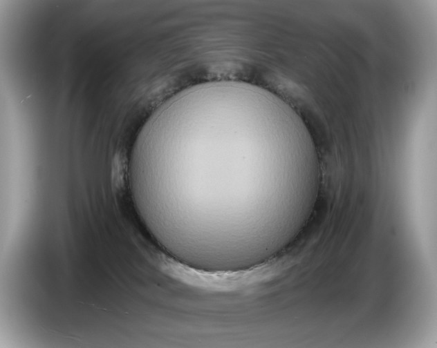 X0000086730038200704271639