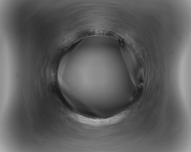 X0000086730039200704271639