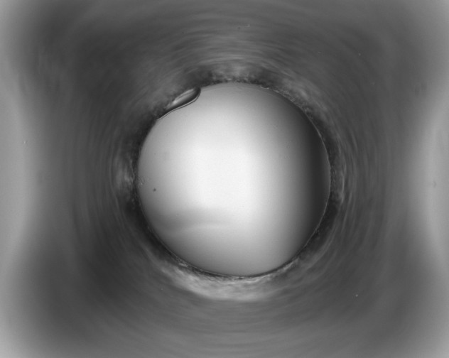 X0000086730040200704271639