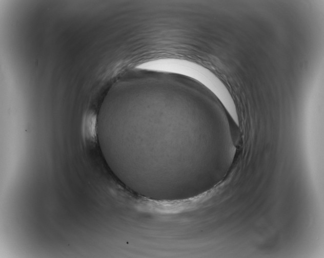 X0000086730041200704271639