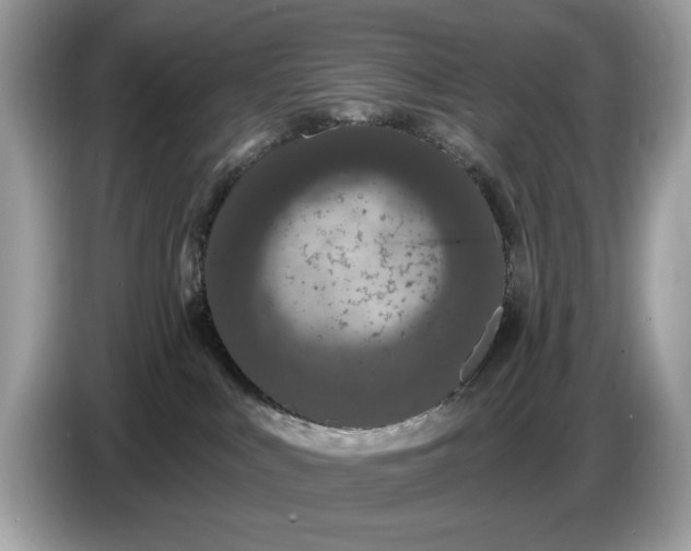 X0000086730043200704271639