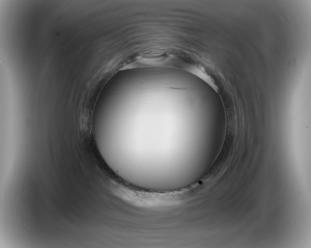 X0000086730044200704271639