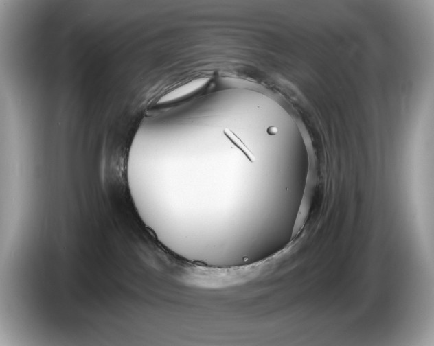 X0000086730045200704271639