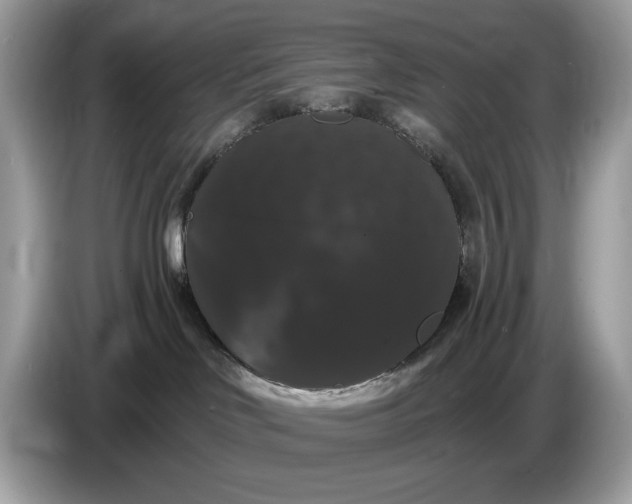 X0000086730046200704271639