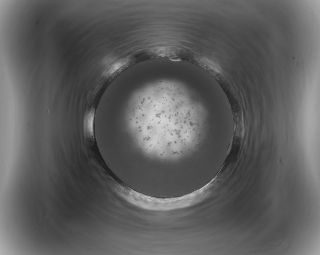 X0000086730047200704271639