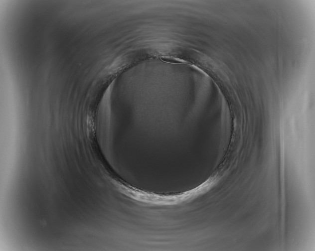 X0000086730048200704271639