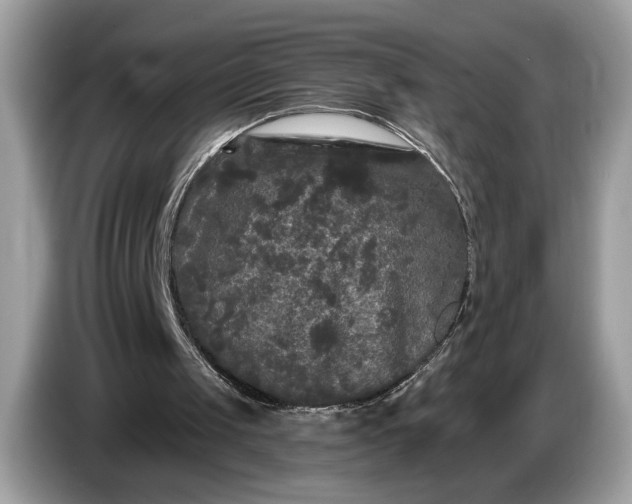 X0000086730049200704271638