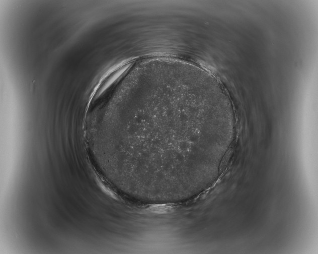 X0000086730050200704271638