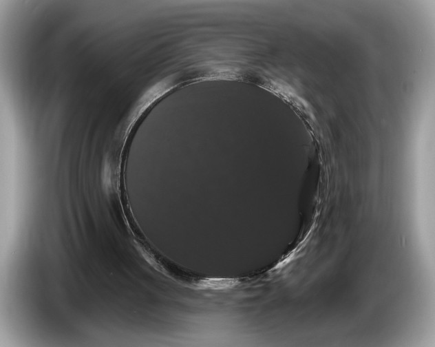 X0000086730051200704271638