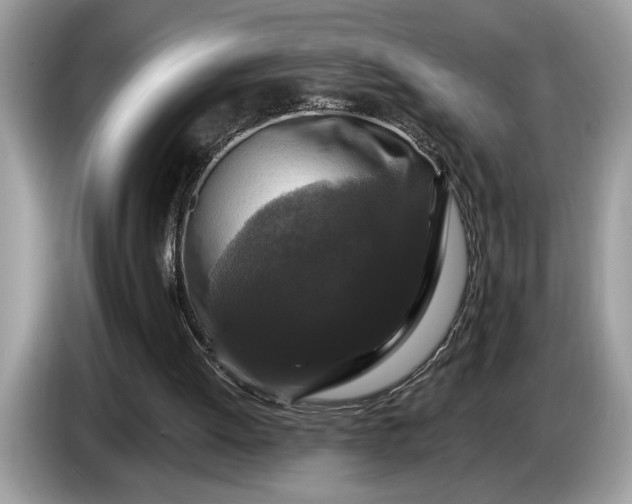 X0000086730052200704271638