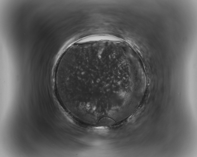 X0000086730053200704271638