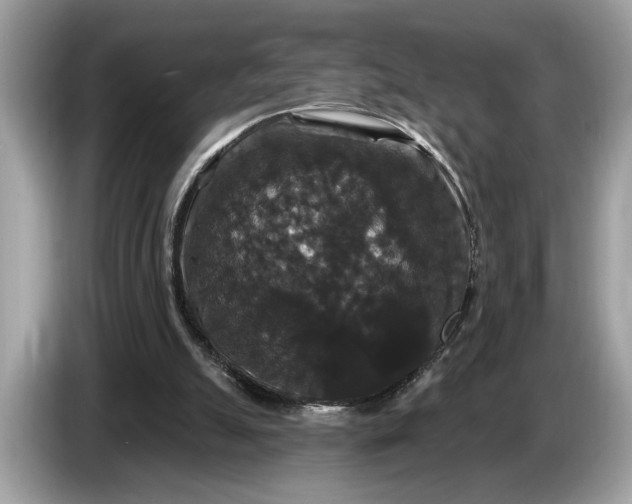 X0000086730055200704271638