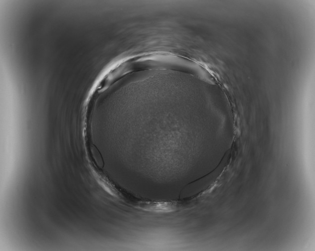 X0000086730056200704271638