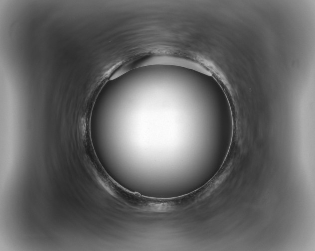 X0000086730057200704271638