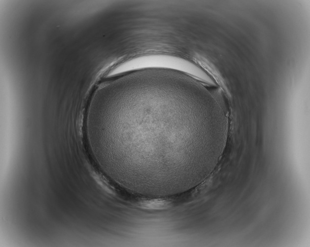 X0000086730058200704271638