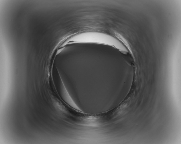 X0000086730059200704271639