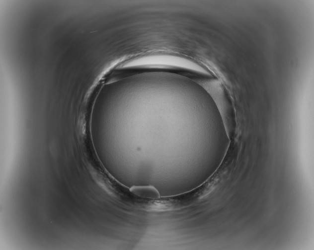 X0000086730060200704271639