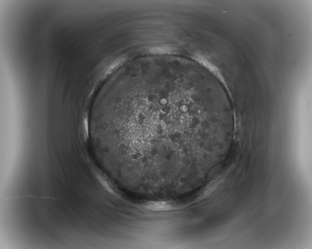 X0000086730061200704271639