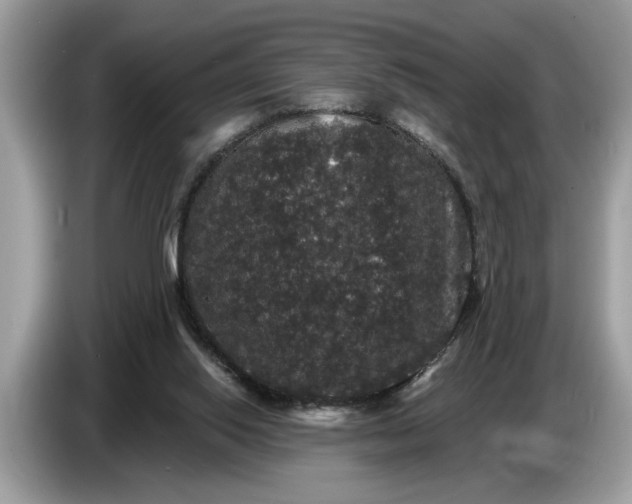 X0000086730062200704271639