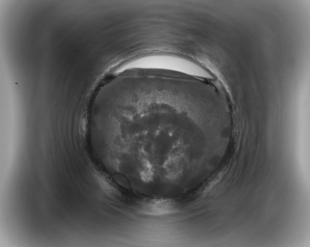 X0000086730063200704271639