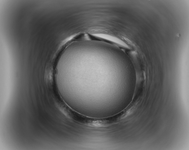 X0000086730064200704271639