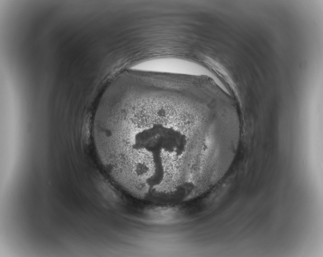 X0000086730065200704271639