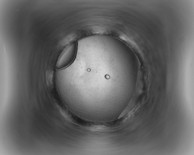 X0000086730066200704271639