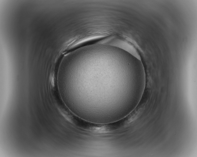 X0000086730068200704271639