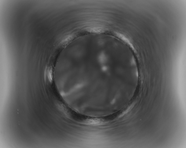 X0000086730069200704271639