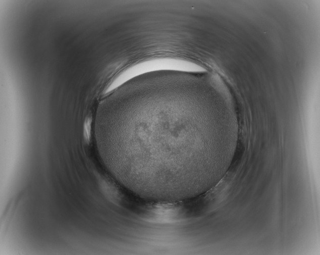 X0000086730070200704271639