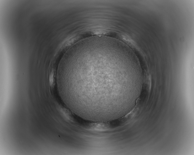 X0000086730074200704271639