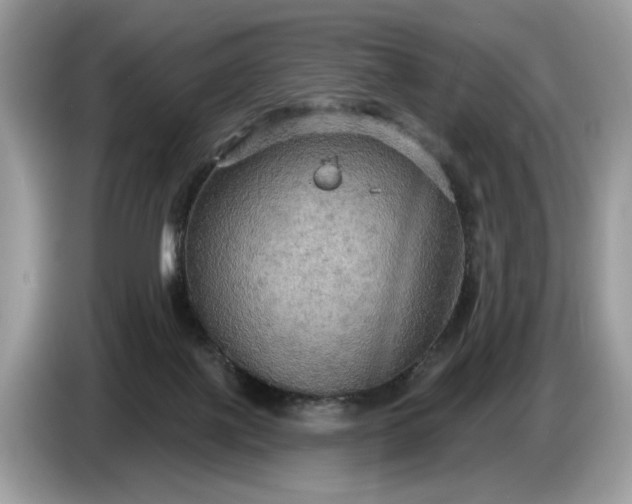 X0000086730075200704271639