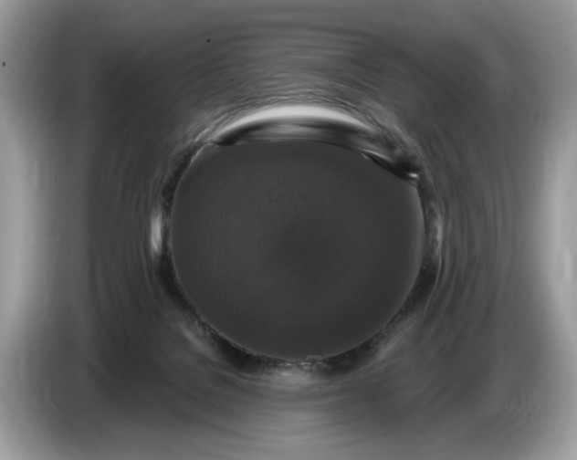 X0000086730076200704271639