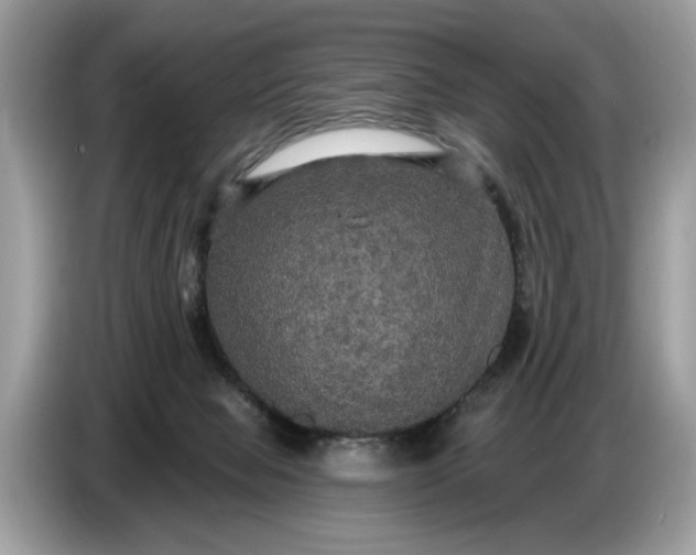 X0000086730077200704271639