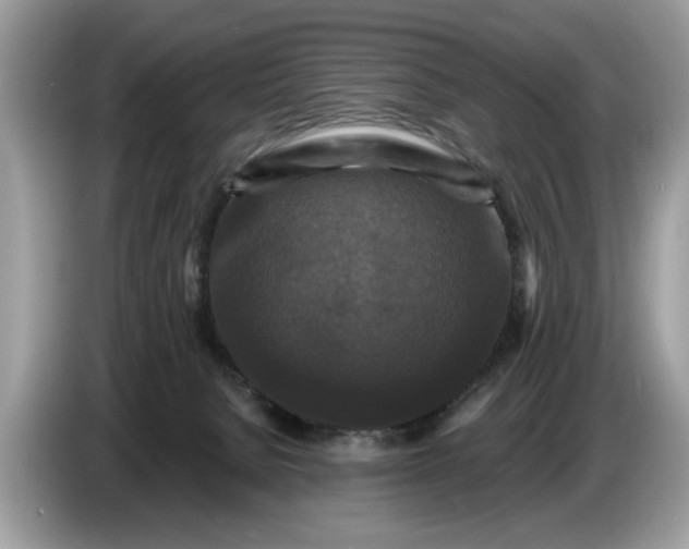 X0000086730080200704271639