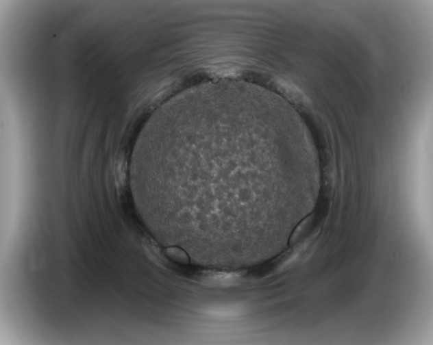 X0000086730081200704271639