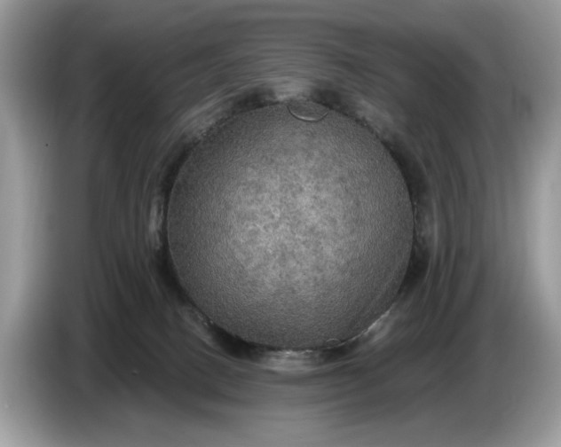 X0000086730082200704271639