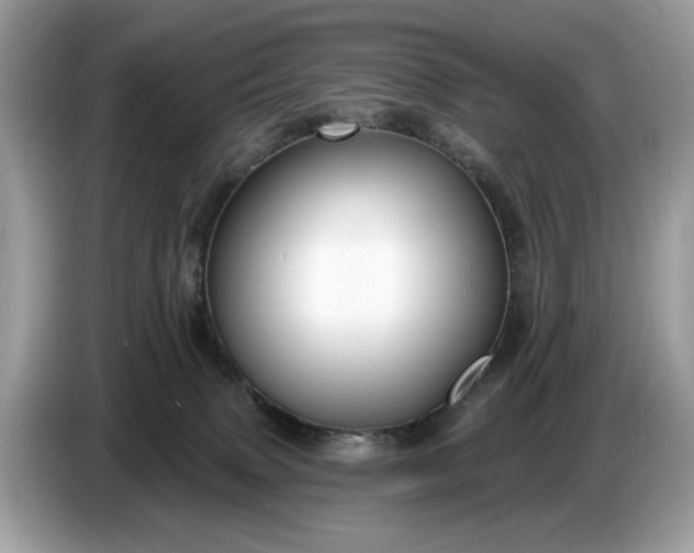 X0000086730083200704271639