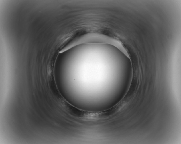 X0000086730084200704271639