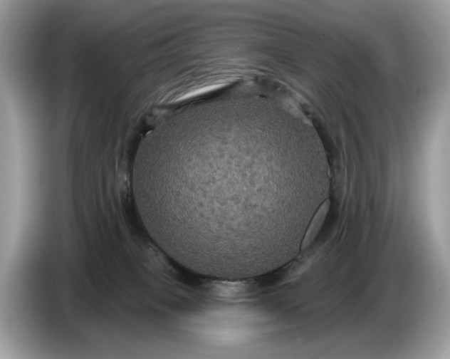 X0000086730085200704271639