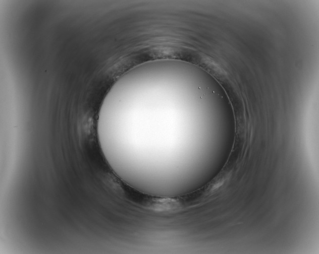 X0000086730087200704271639